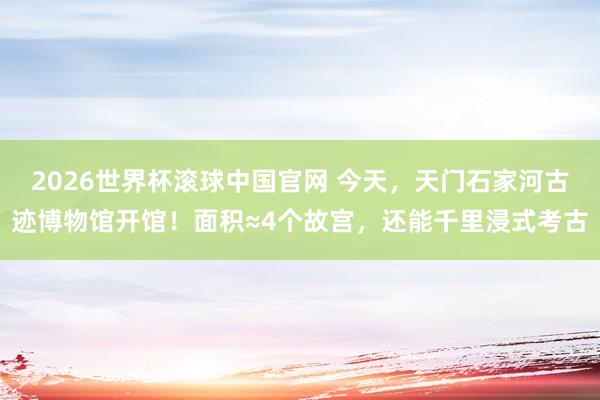 2026世界杯滚球中国官网 今天，天门石家河古迹博物馆开馆！面积≈4个故宫，还能千里浸式考古