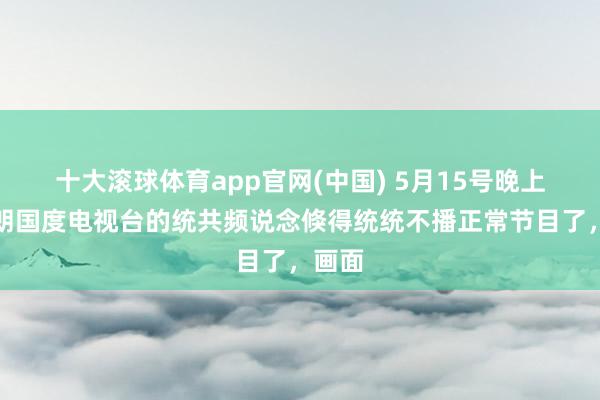 十大滚球体育app官网(中国) 5月15号晚上，伊朗国度电视台的统共频说念倏得统统不播正常节目了，画面