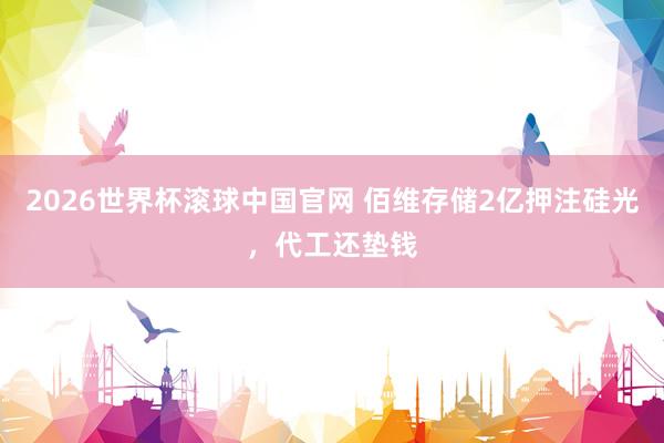 2026世界杯滚球中国官网 佰维存储2亿押注硅光，代工还垫钱