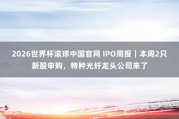 2026世界杯滚球中国官网 IPO周报｜本周2只新股申购，特种光纤龙头公司来了