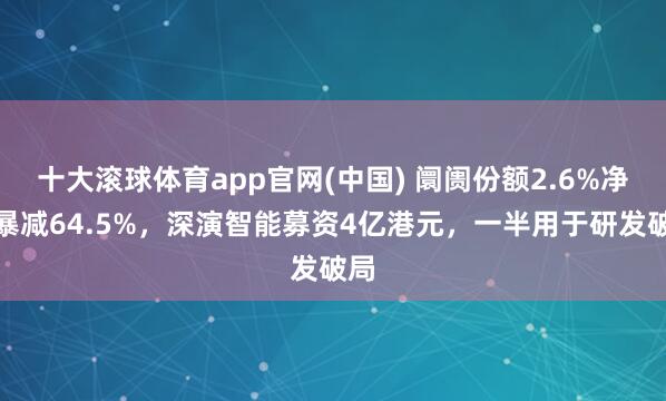 十大滚球体育app官网(中国) 阛阓份额2.6%净利暴减64.5%，深演智能募资4亿港元，一半用于研发破局
