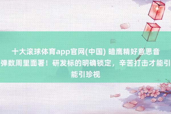 十大滚球体育app官网(中国) 暗鹰精好意思音速导弹数周里面署！研发标的明确锁定，辛苦打击才能引珍视