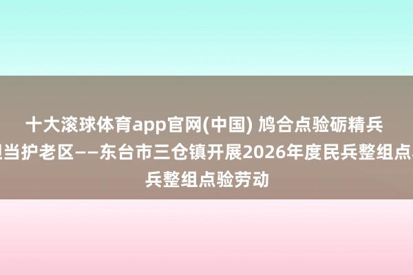 十大滚球体育app官网(中国) 鸠合点验砺精兵 铁血担当护老区——东台市三仓镇开展2026年度民兵整组点验劳动