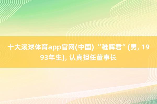 十大滚球体育app官网(中国) “稚晖君”(男， 1993年生)， 认真担任董事长