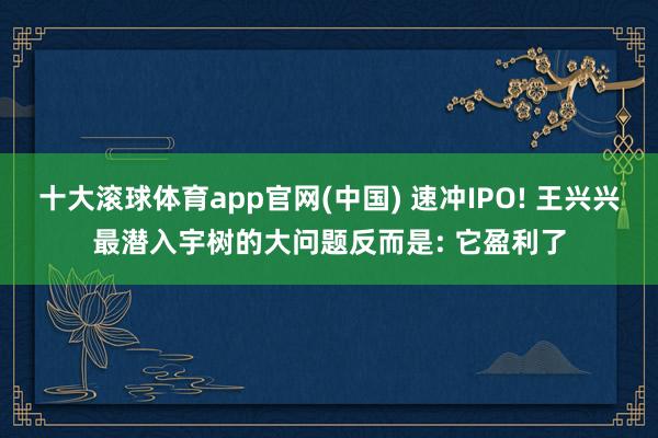 十大滚球体育app官网(中国) 速冲IPO! 王兴兴最潜入宇树的大问题反而是: 它盈利了
