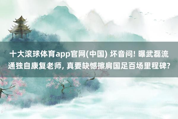 十大滚球体育app官网(中国) 坏音问! 曝武磊流通独自康复老师， 真要缺憾擦肩国足百场里程碑?