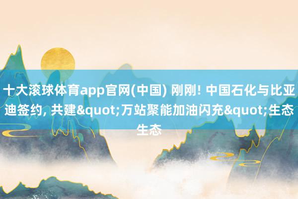 十大滚球体育app官网(中国) 刚刚! 中国石化与比亚迪签约， 共建"万站聚能加油闪充"生态