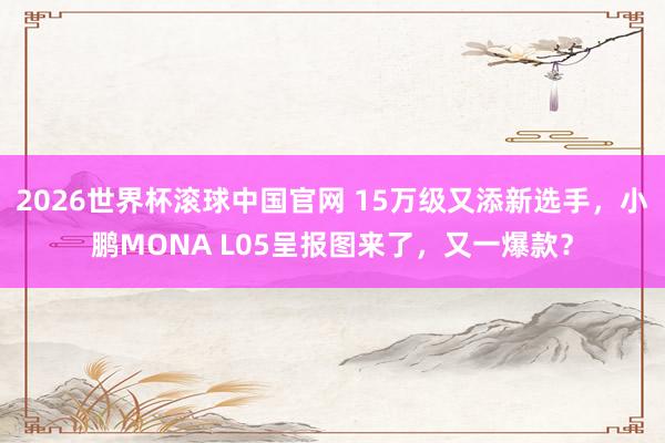 2026世界杯滚球中国官网 15万级又添新选手，小鹏MONA L05呈报图来了，又一爆款？