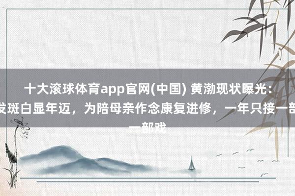 十大滚球体育app官网(中国) 黄渤现状曝光：头发斑白显年迈，为陪母亲作念康复进修，一年只接一部戏