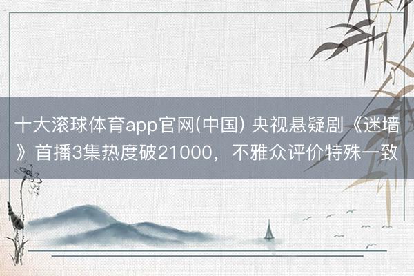 十大滚球体育app官网(中国) 央视悬疑剧《迷墙》首播3集热度破21000，不雅众评价特殊一致