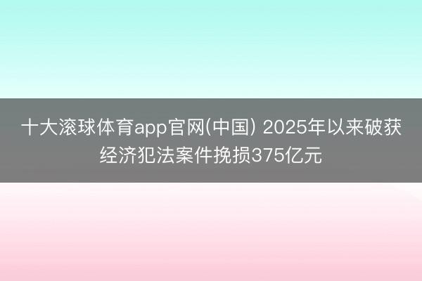 十大滚球体育app官网(中国) 2025年以来破获经济犯法案件挽损375亿元