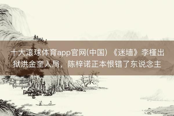 十大滚球体育app官网(中国) 《迷墙》李槿出狱洪金奎入局，陈梓诺正本恨错了东说念主