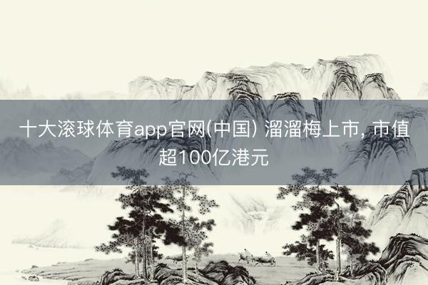 十大滚球体育app官网(中国) 溜溜梅上市， 市值超100亿港元