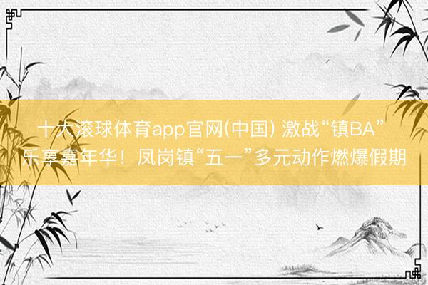 十大滚球体育app官网(中国) 激战“镇BA” 乐享嘉年华！凤岗镇“五一”多元动作燃爆假期