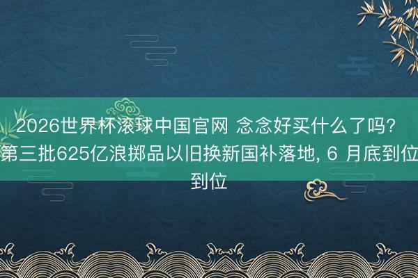 2026世界杯滚球中国官网 念念好买什么了吗? 第三批625亿浪掷品以旧换新国补落地， 6 月底到位