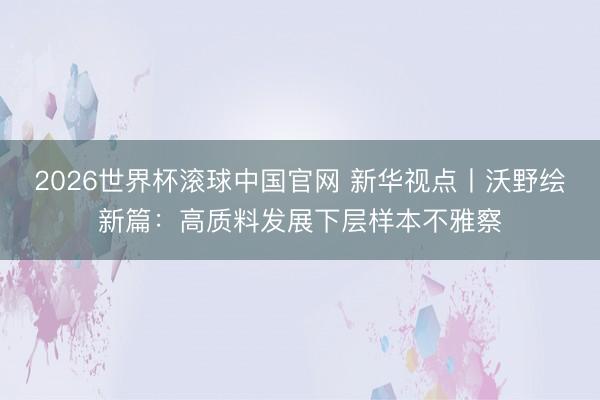 2026世界杯滚球中国官网 新华视点丨沃野绘新篇：高质料发展下层样本不雅察